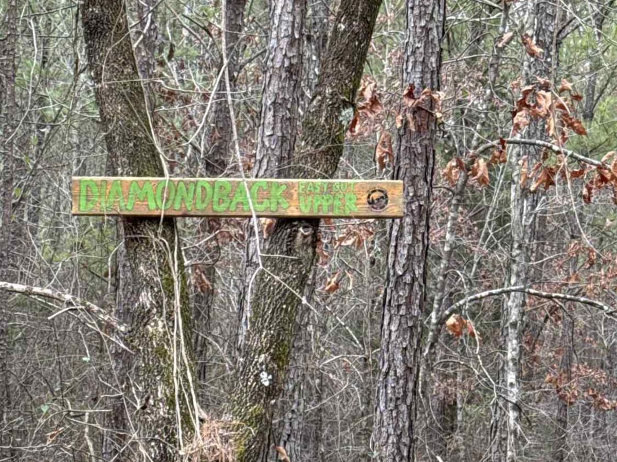 #7e Diamondback - easy out upper trail photo