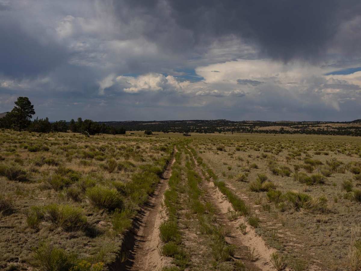 Pasture Waterline photo 2