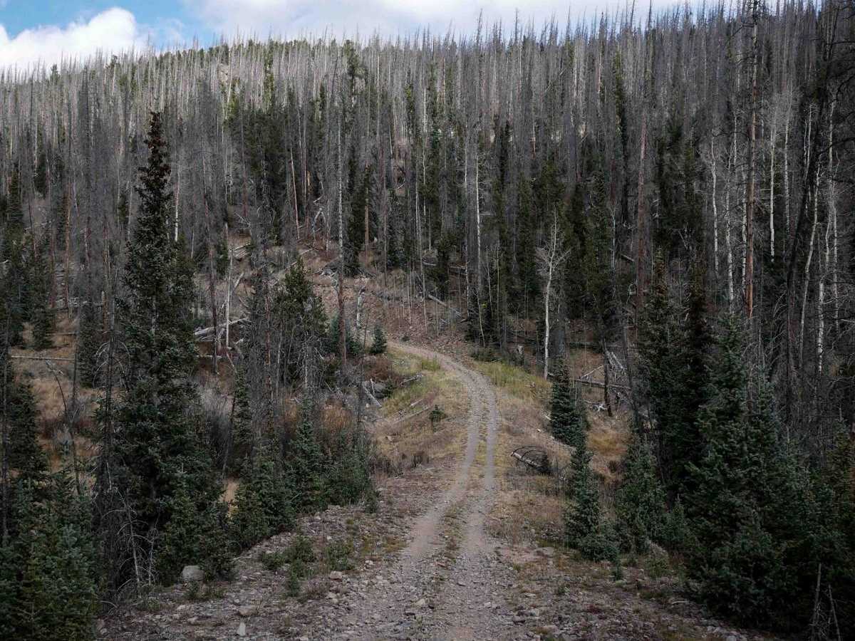Perry Creek ATV photo 2