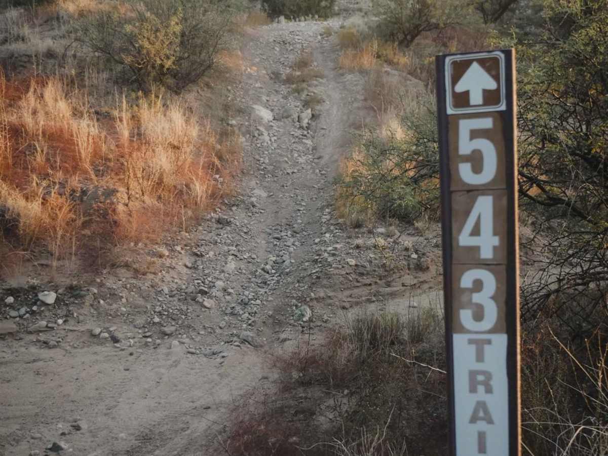 Grapevine #543 trail photo