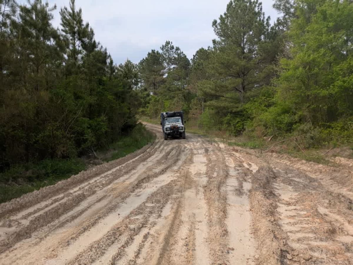 31860 trail photo
