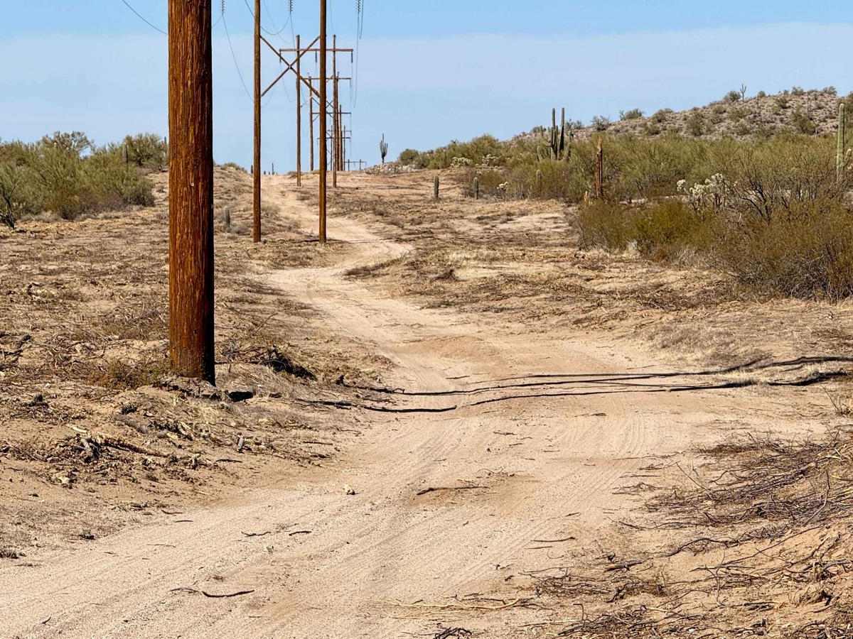 Pinal Pioneer Pole Line East: Freeman to Private Ranch photo 5