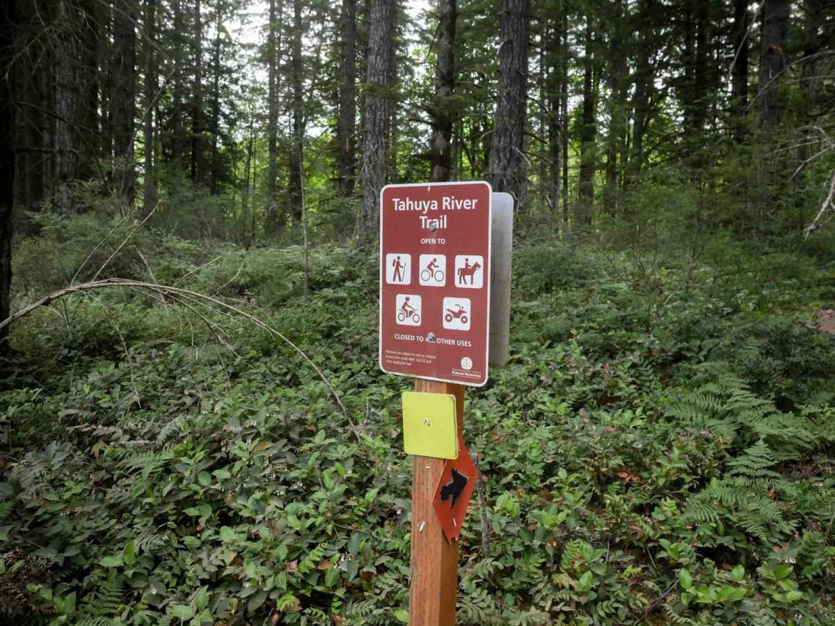 Tahuya River Trail photo 2