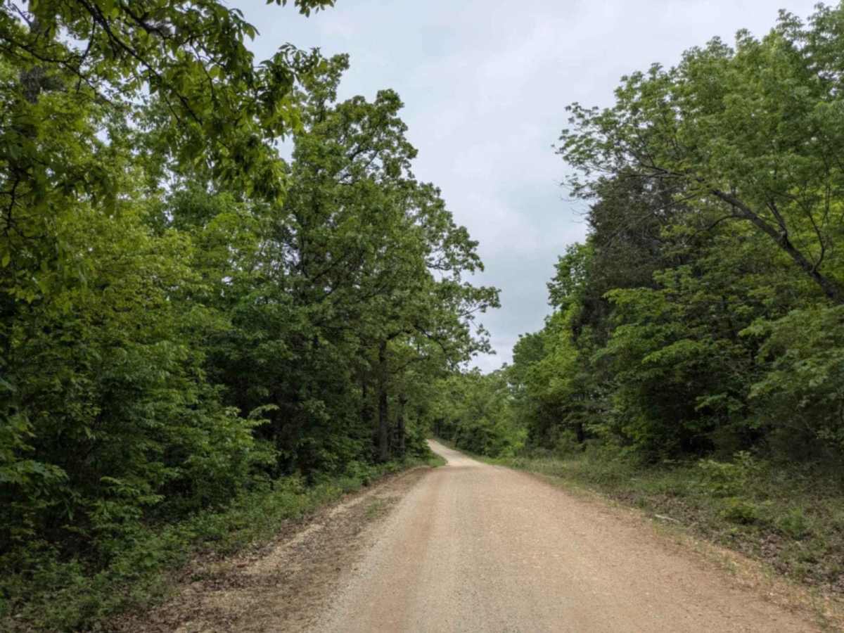 Hayden Road trail photo