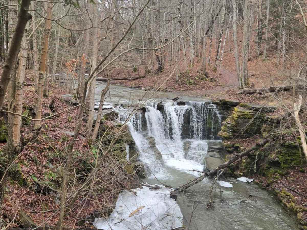 Templar Falls - Sugar Hill Road photo 3