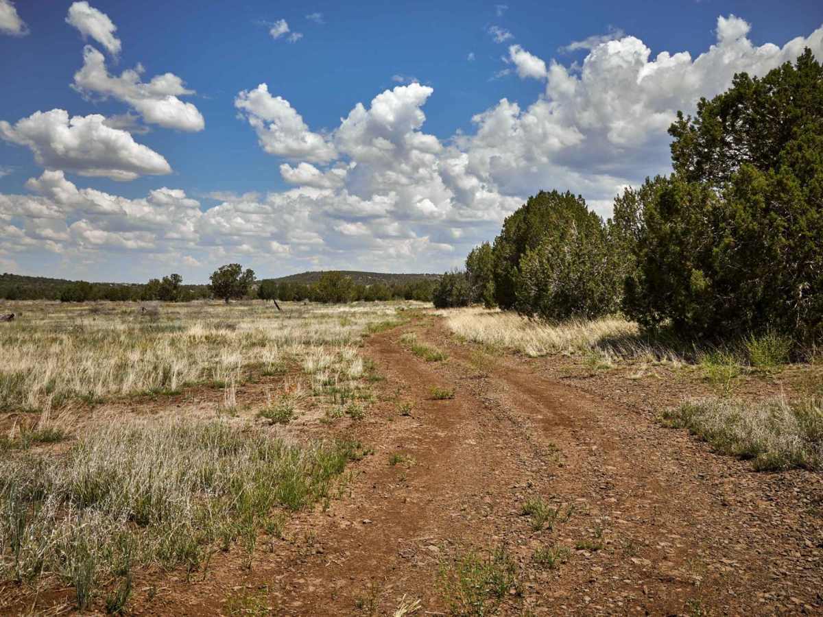 Prairie Train Trail photo 4