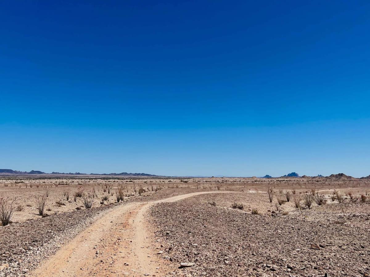 Ocotillo Out and Back 661 photo 3