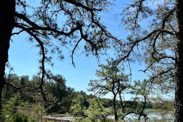 Atsion Lake to Batsto Lake