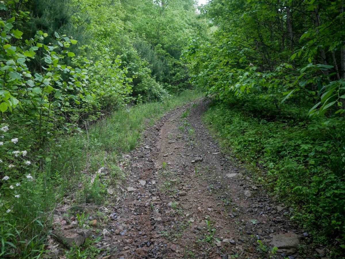 J30 trail photo