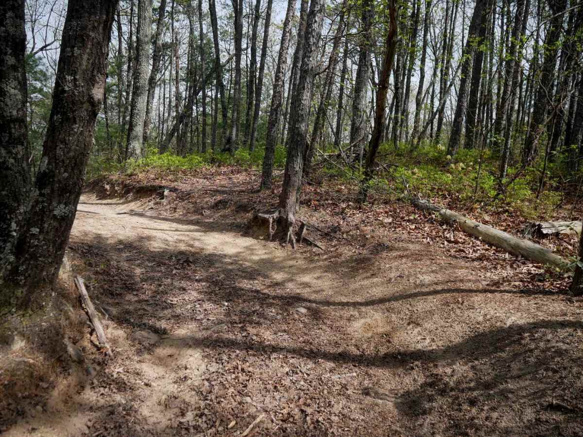 Trail 9  - 65 Inch photo 4