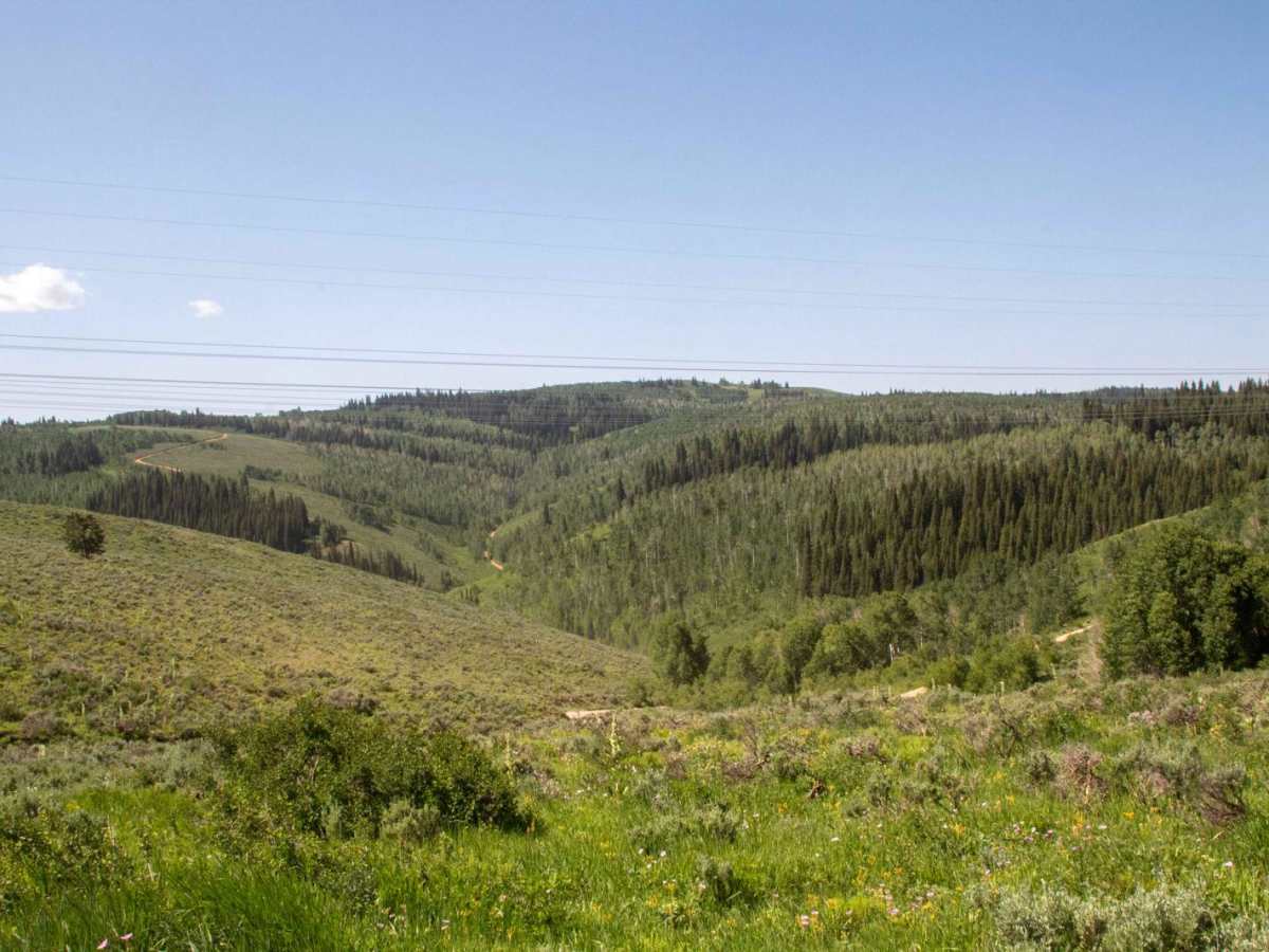 Baldy Wheeler Road trail photo