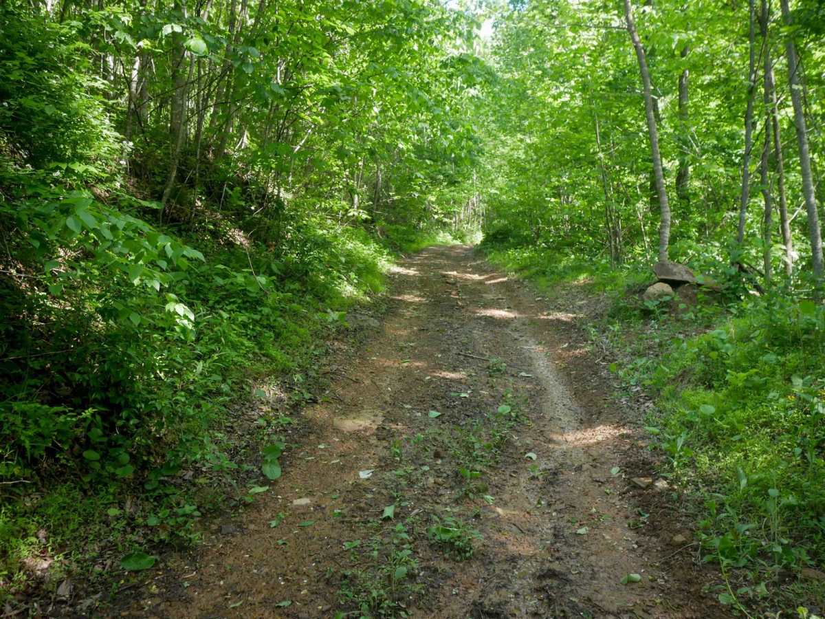 RV30 photo 4