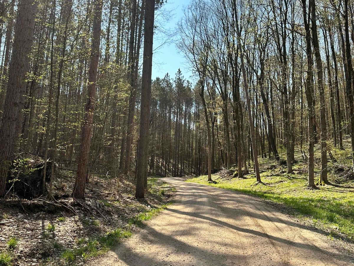 Cadillac Area ORV/OHV Scenic Ride - Part 11 photo 3