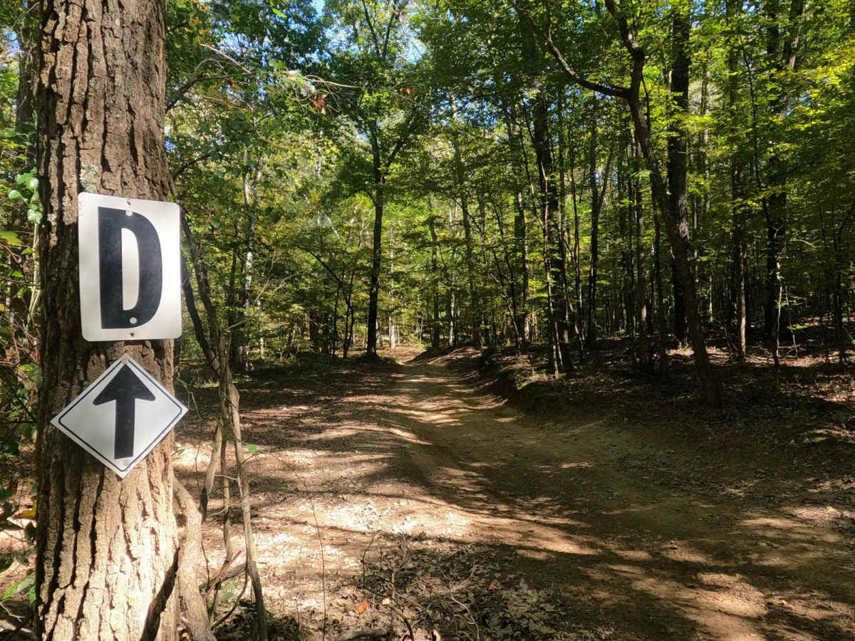 2 to D Road trail photo