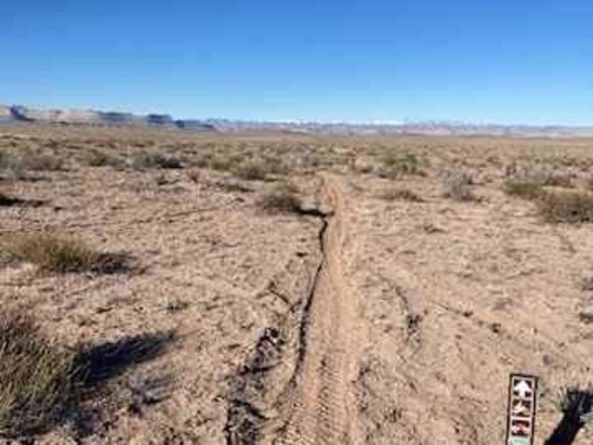 Open Desert Single Track photo 5