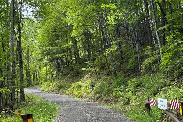Wolf Creek Road