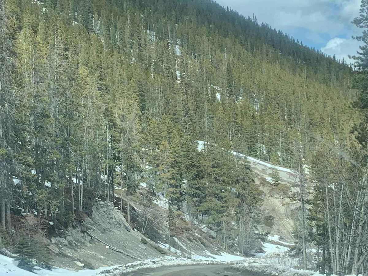 Kananaskis To Canmore (Smith Dorrien Trail) photo 2
