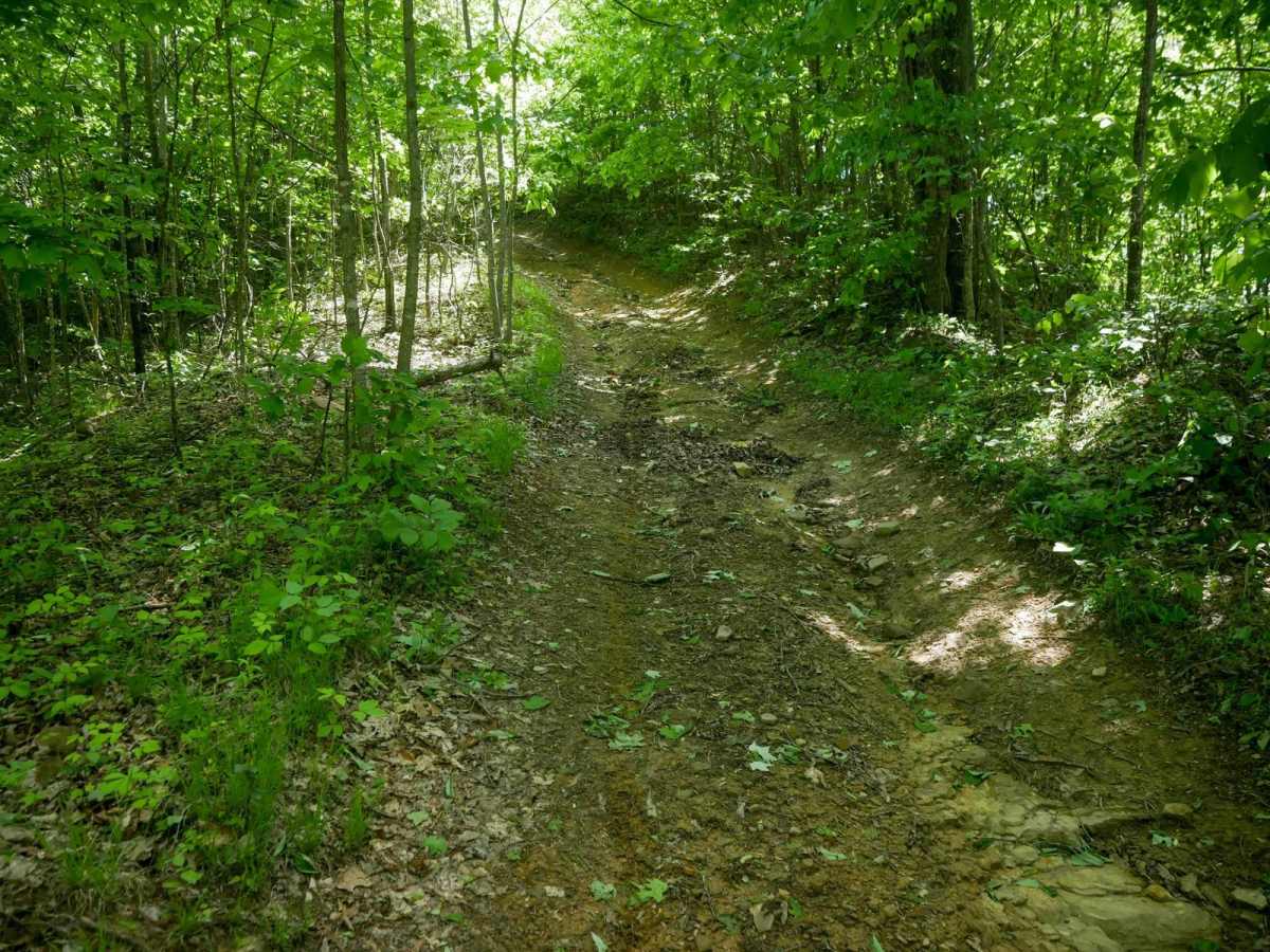 RV37 photo 6
