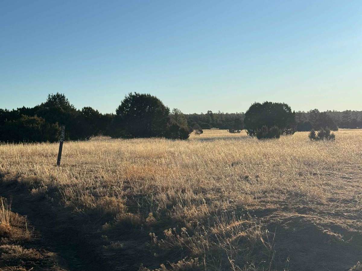 Cattle Run Pass photo 5