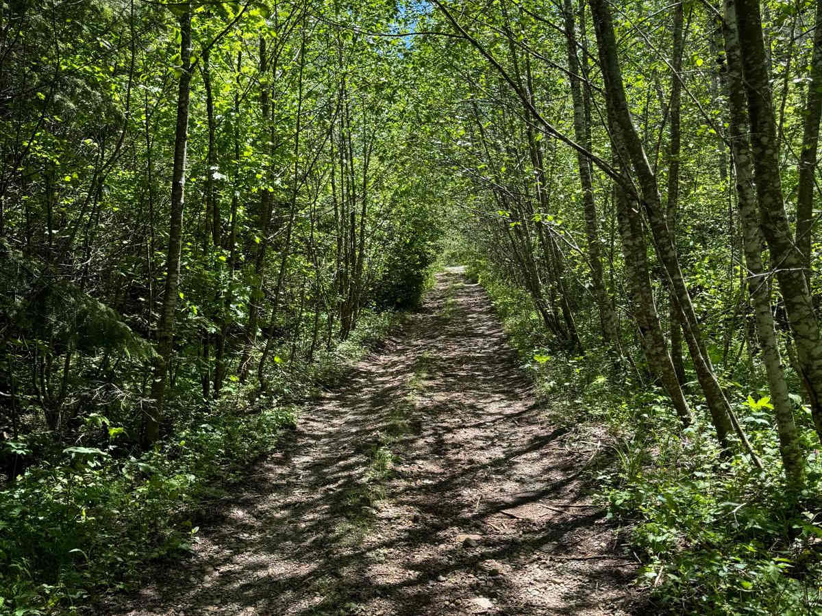 Gumboot Mountain Trail photo 6