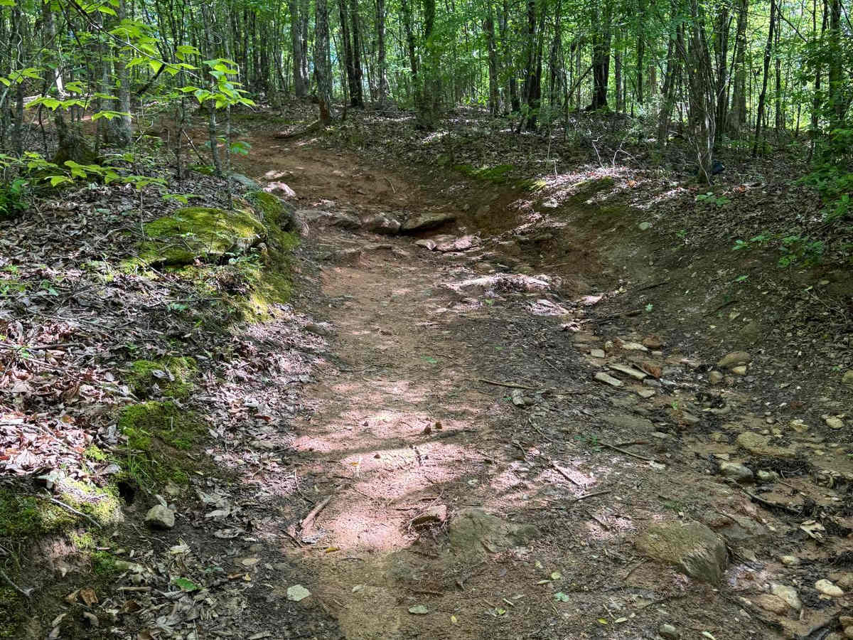Hill 5 trail photo