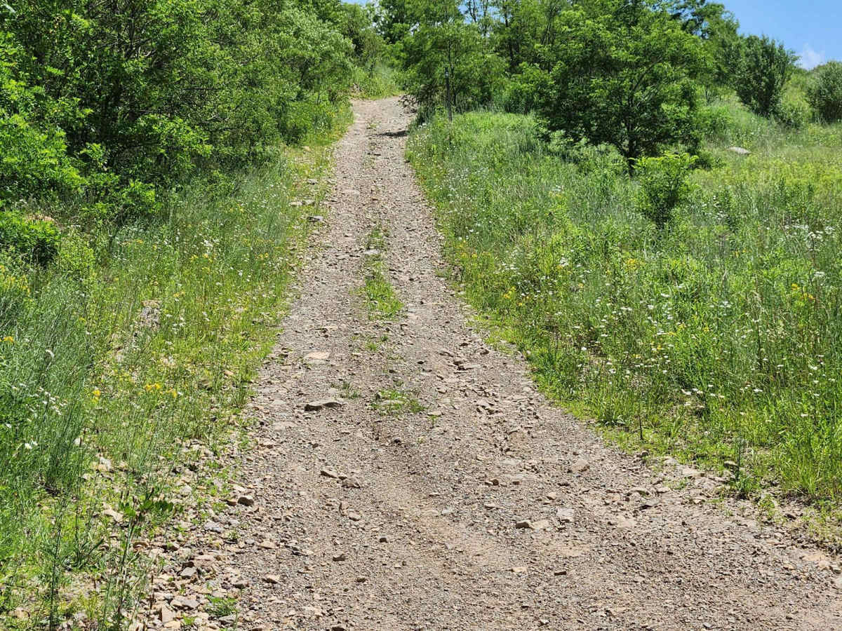 Trail 5I - Rock Run Recreation Area photo 3