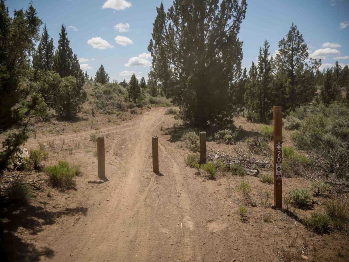 Cline Buttes OHV Trail 20 Loop photo 3