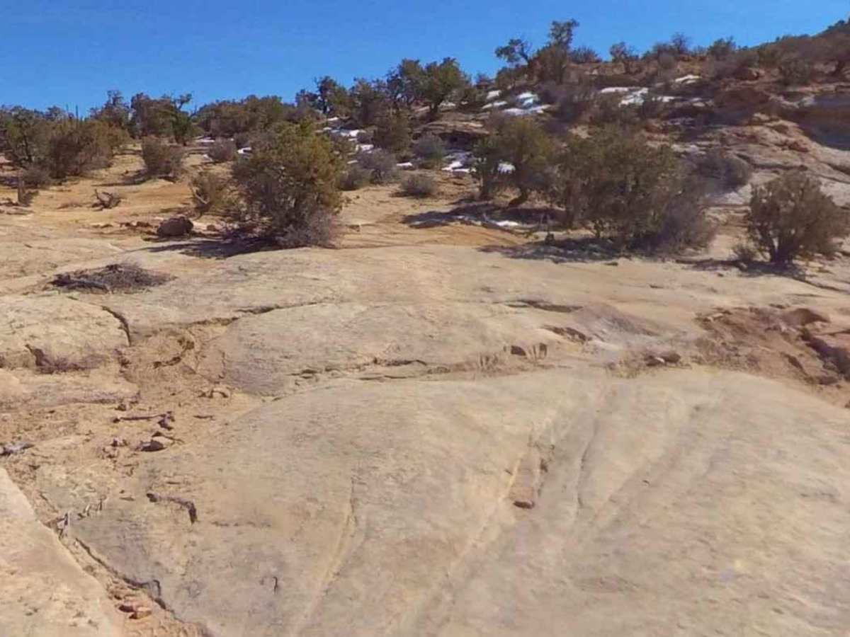 Devils Racetrack-BLM639 photo 5
