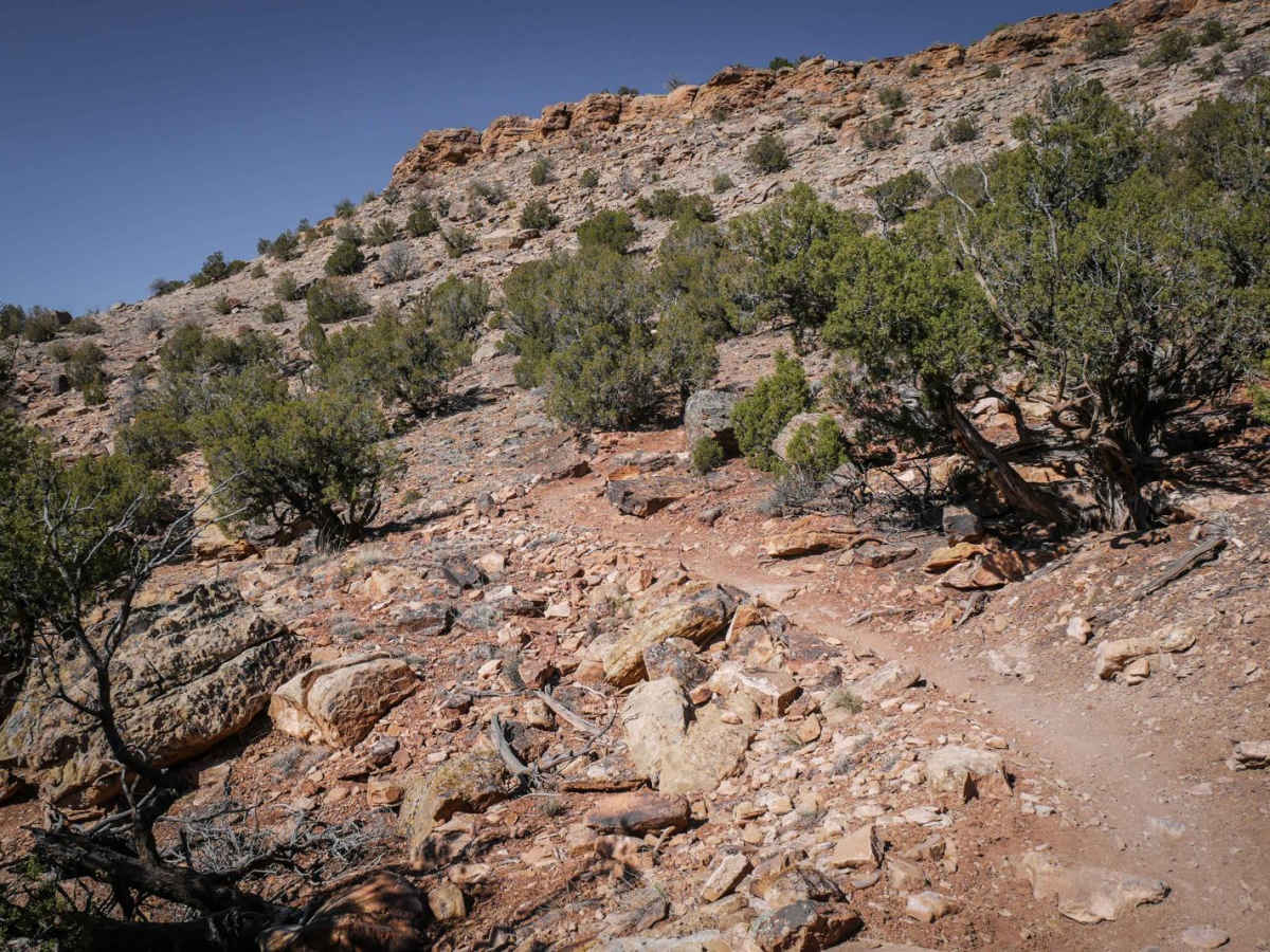 Coyote Cutoff photo 2