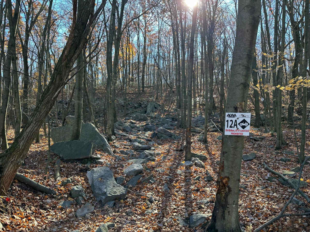 12 Blue trail photo