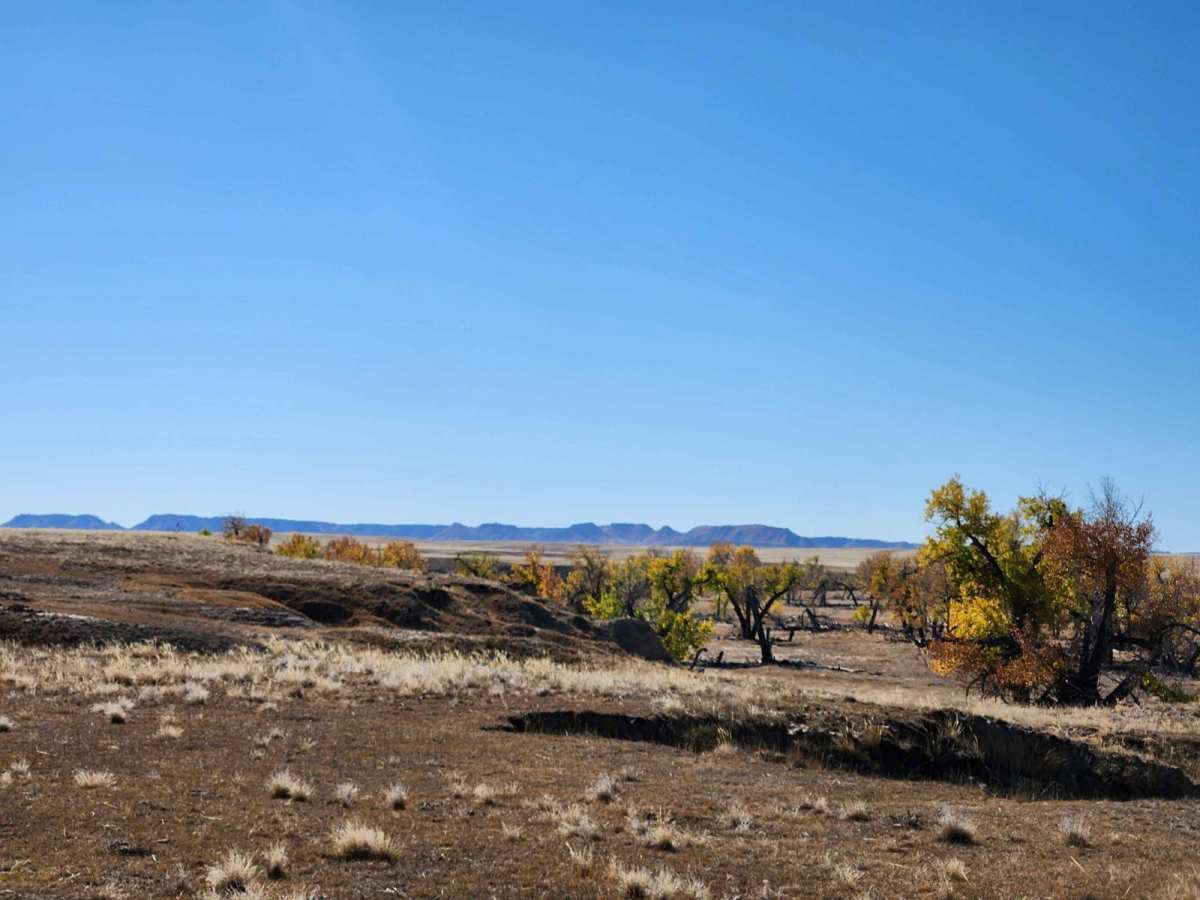 Prairie Dog Chase trail photo