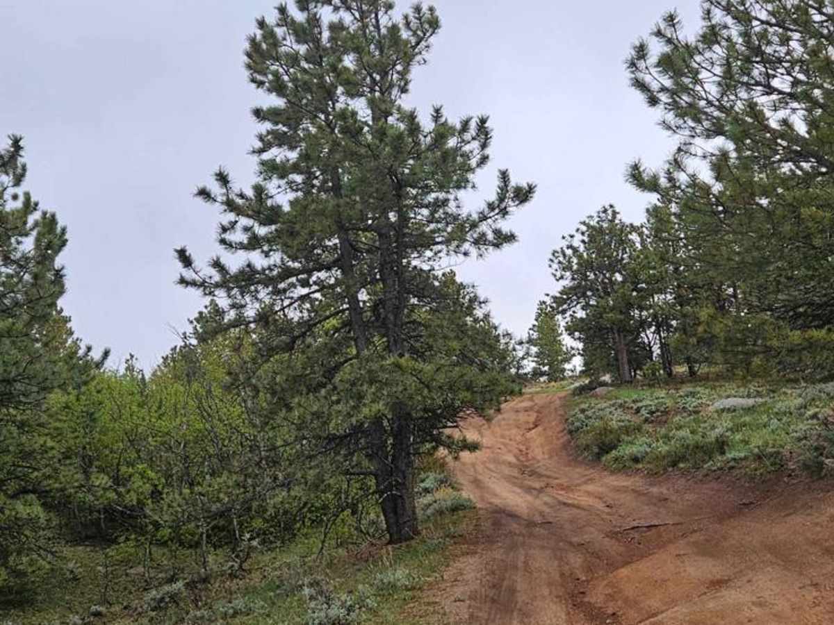 Buford Trail photo 5
