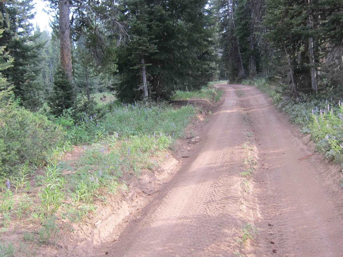 Big Creek Lake photo 2