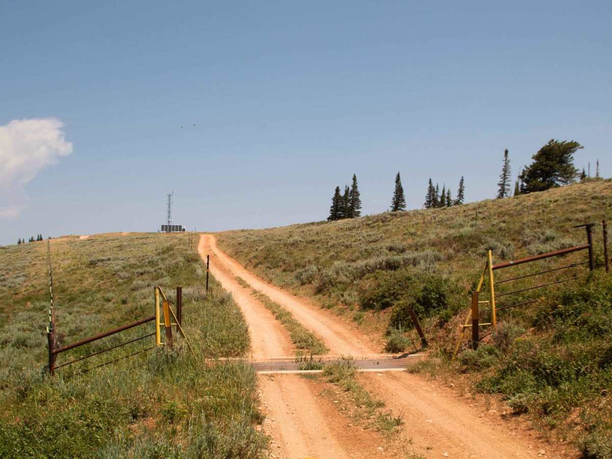 Red Spur photo 3