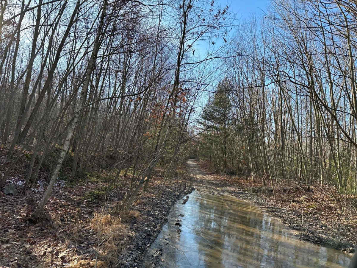 Locust Gap 7 - Northwest photo 4