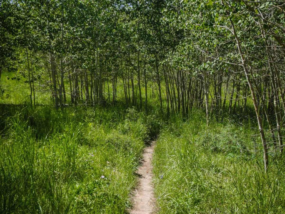 Cow Creek Shortcut photo 4