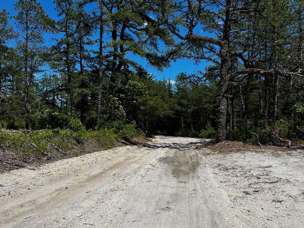 Forge Road to Wharton State Forest photo 5
