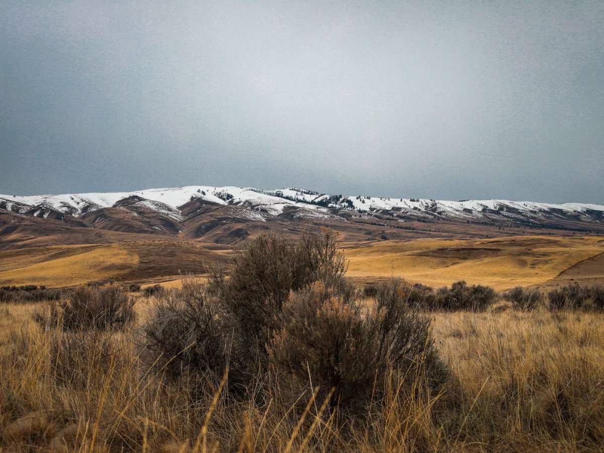 Durr Road to Umtanum Creek Camp photo 2