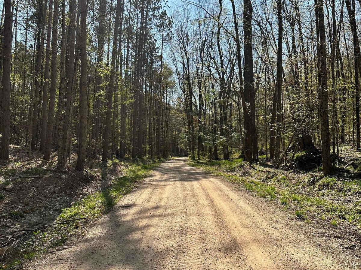 Cadillac Area ORV/OHV Scenic Ride - Part 11 photo 4