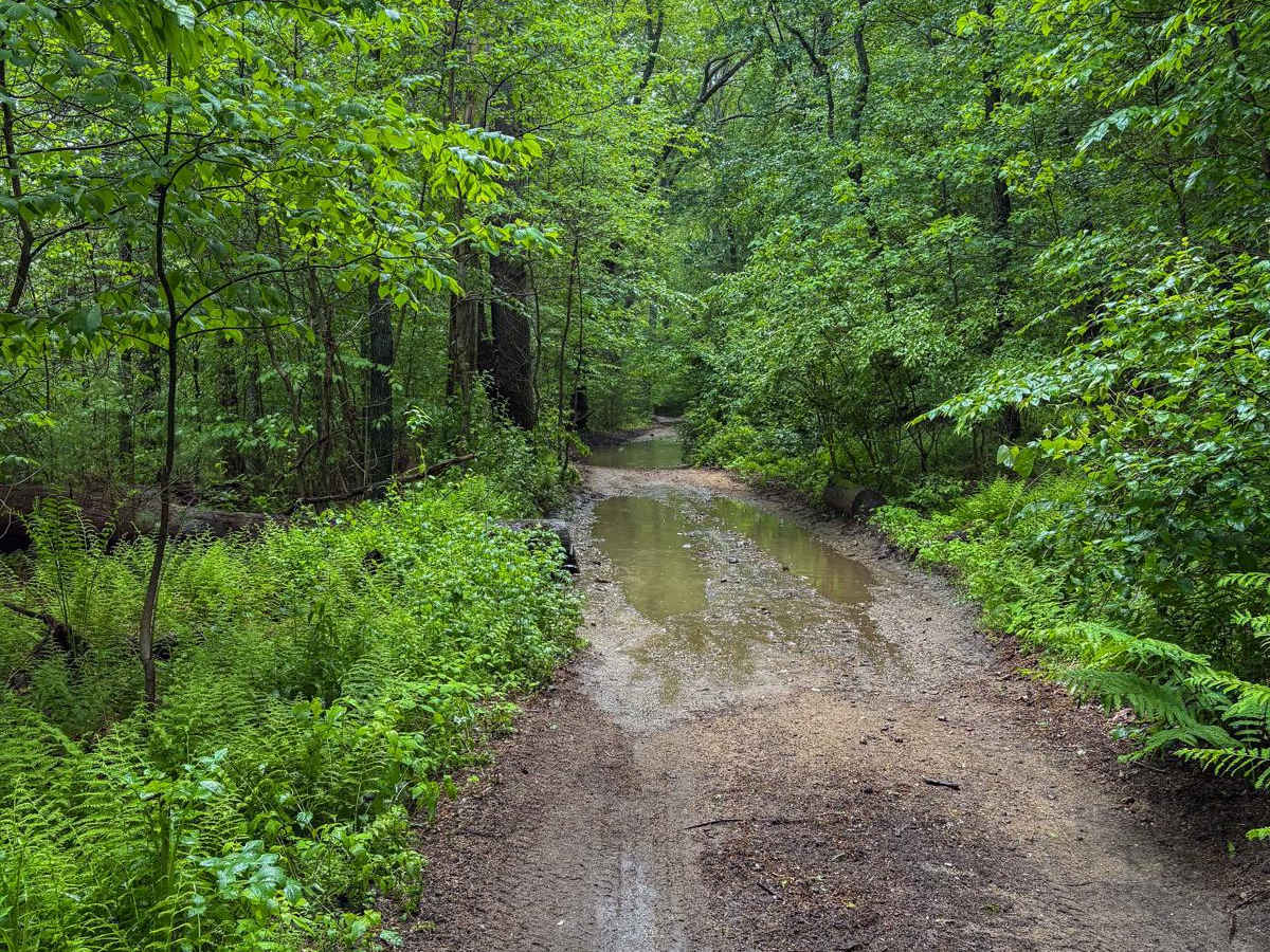 Miles Standish Road photo 3