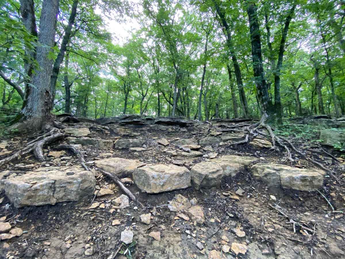 Ford Flip trail photo