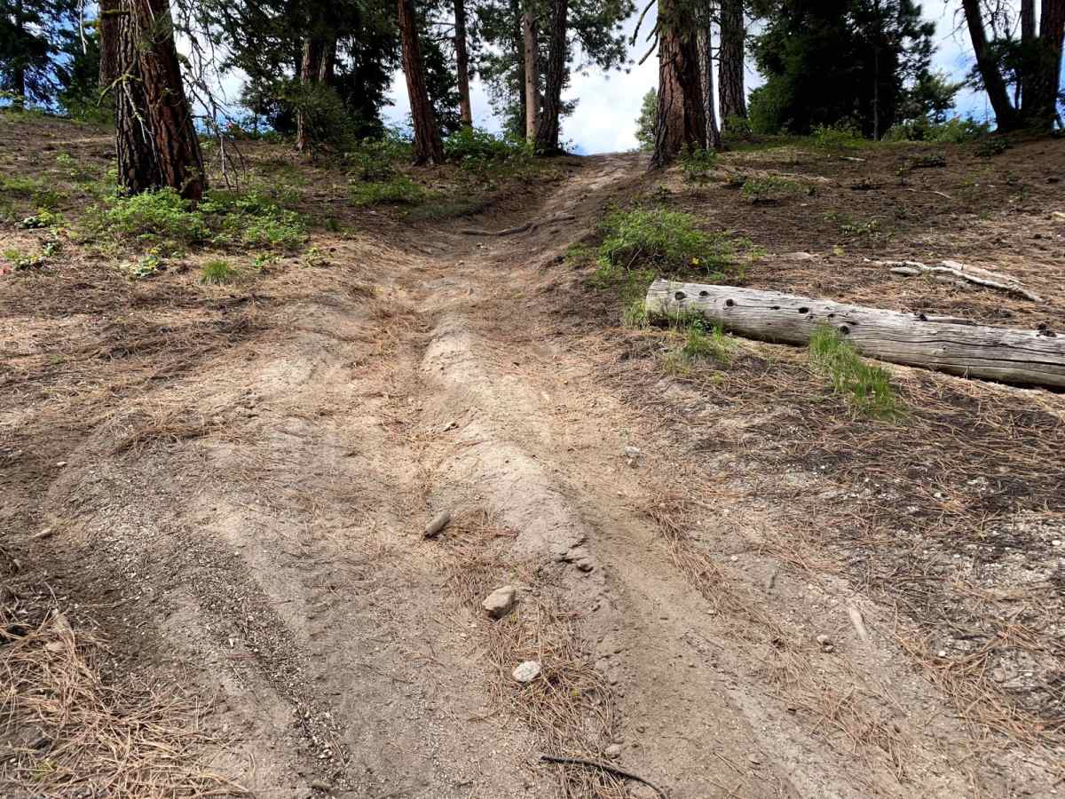 Yellow Pine Ridge photo 4