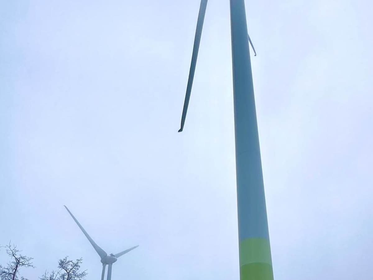 Bear Mountain Wind Park photo 3