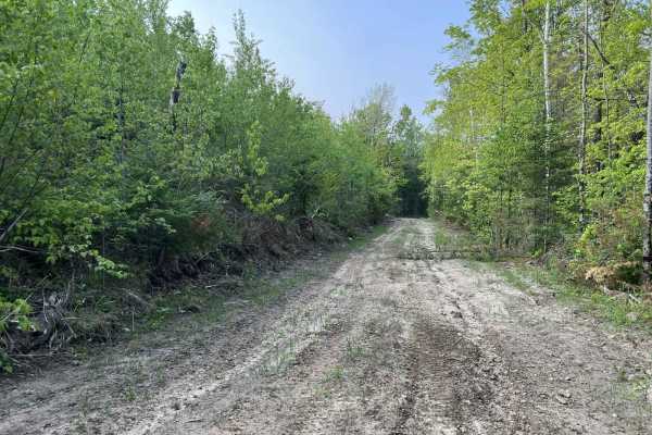 Murry Road