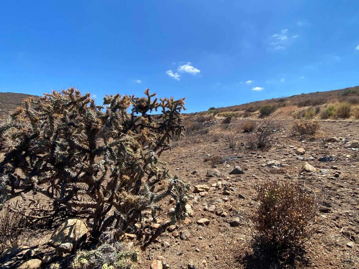 Dos Ranchos photo 2
