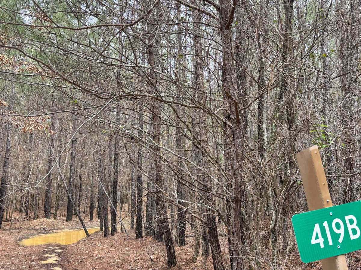 419B trail photo