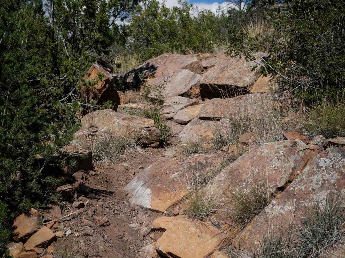 The Ridge - Penrose Commons Recreation Area photo 2