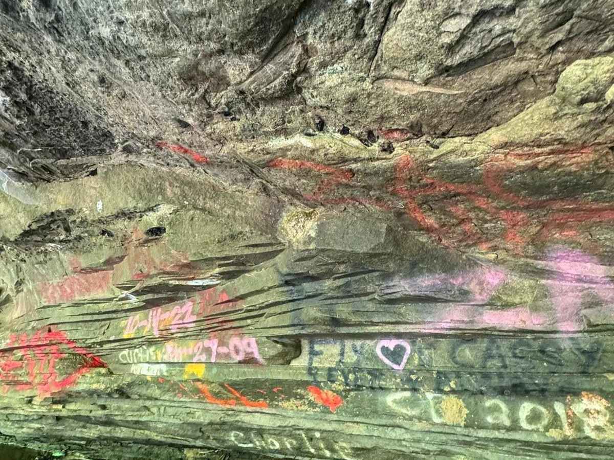 Jaw Bone trail photo