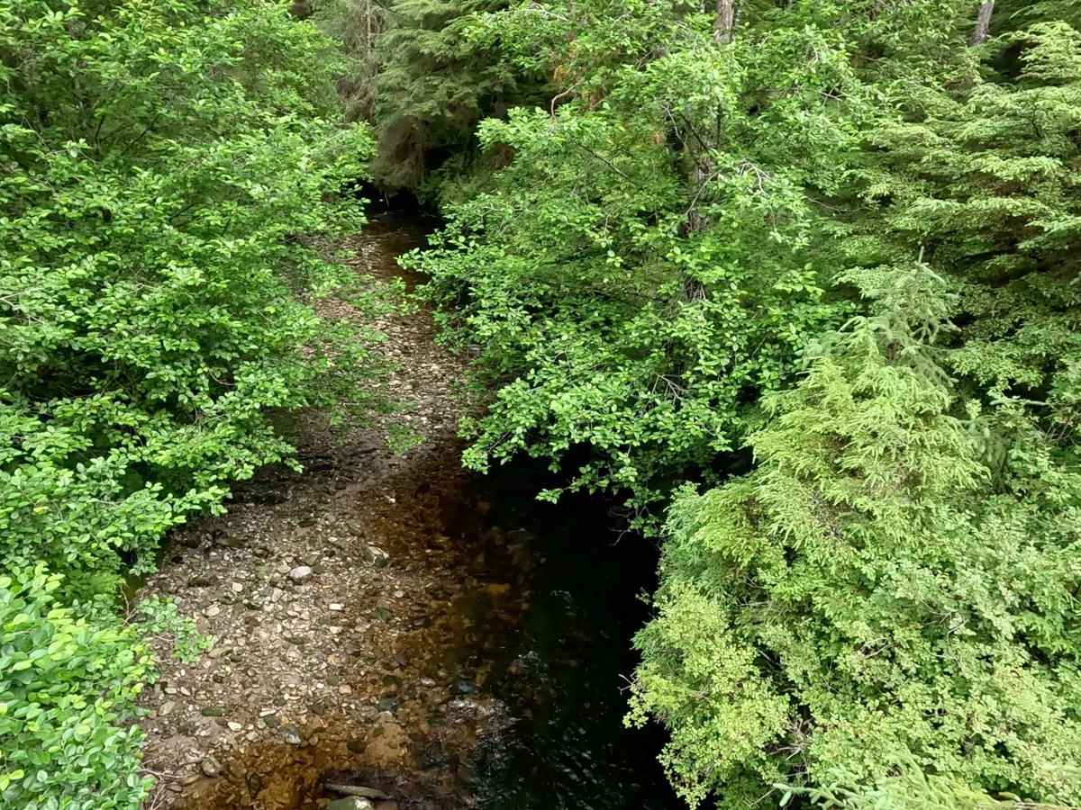 Stumble Creek - 6273 photo 5