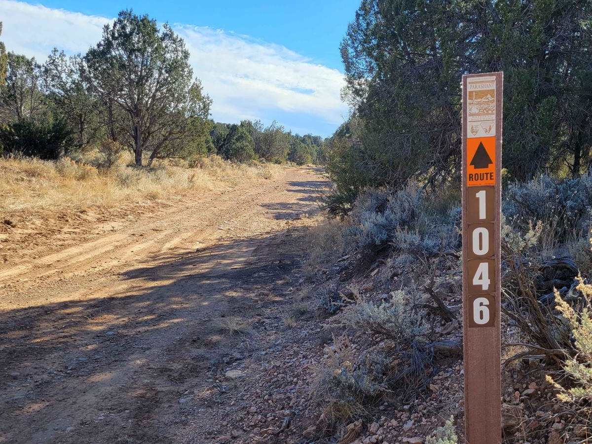 Grassy Point Road - BLM 1046 trail photo